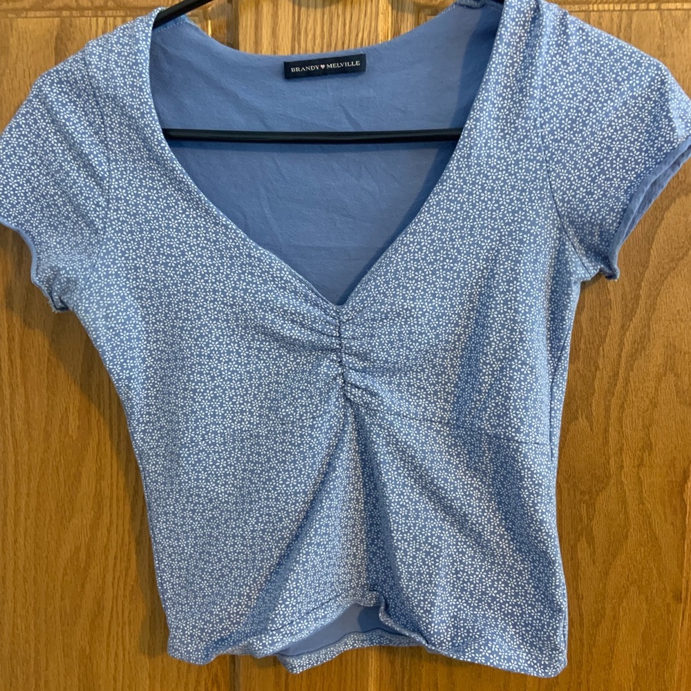 Blue Floral Brandy Melville Top